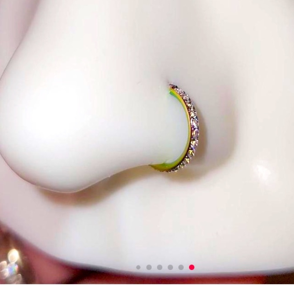 Rainbow Chameleon 20g. 9mm Titanium Hinge Hoop Jewelry